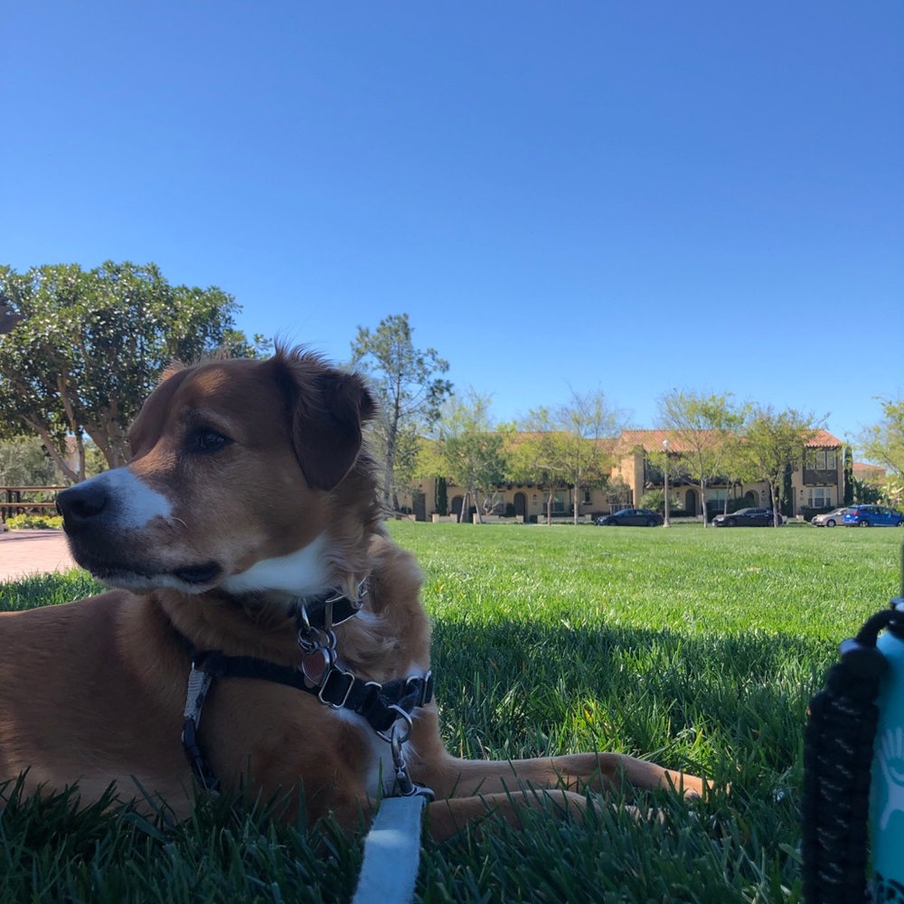 Meet your Posher, Michelle